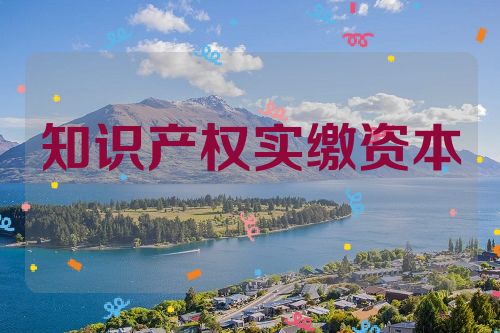 知識(shí)產(chǎn)權(quán)實(shí)繳資本