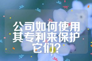 公司如何使用其專利來(lái)保護(hù)它們？